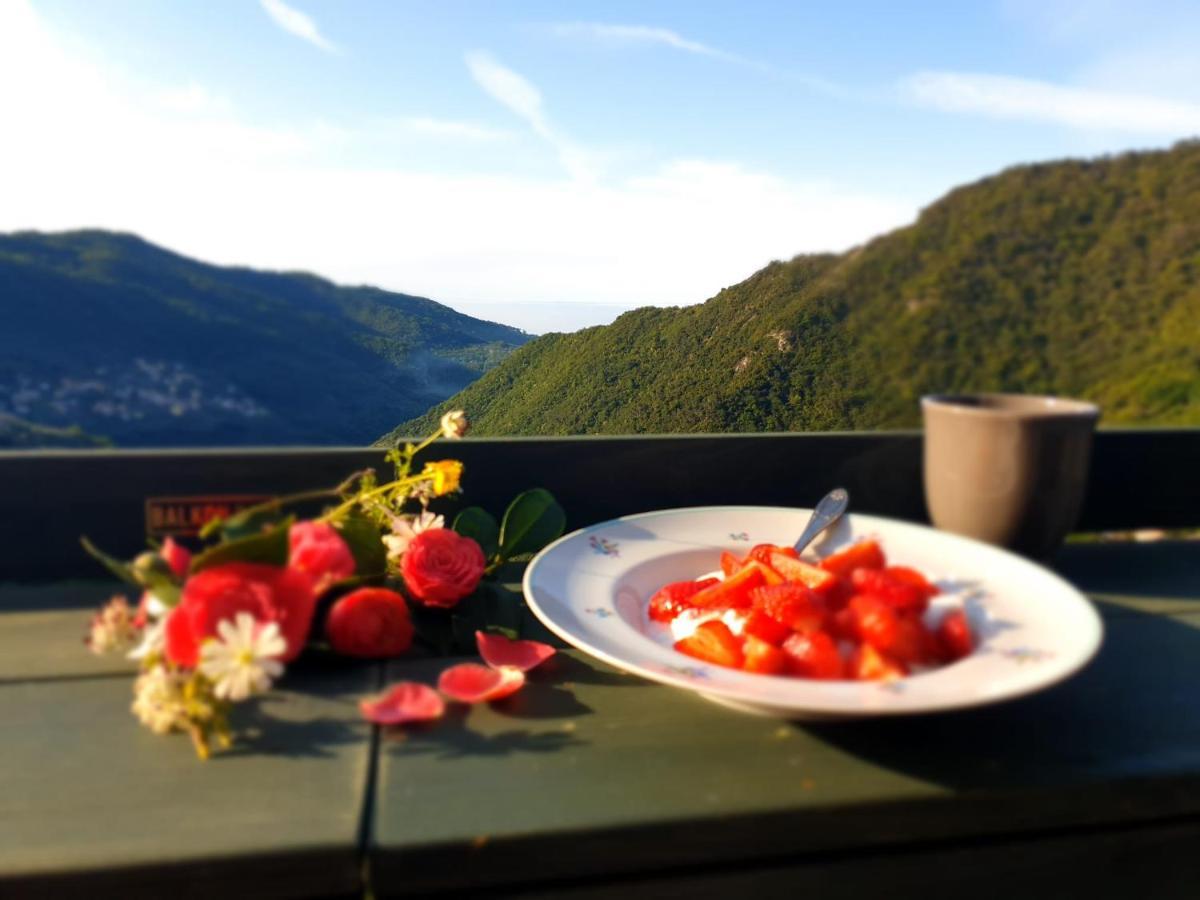 Uno Scorcio Di Paradiso Sori Dış mekan fotoğraf